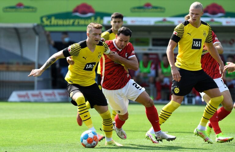 เสือเหลืองอดนำฝูง