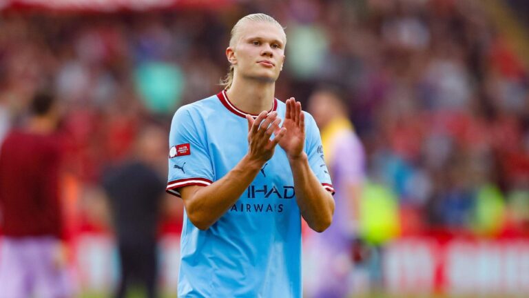 การซื้อฮาแลนด์